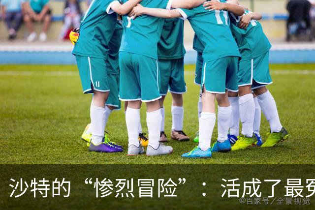 沙特的“惨烈冒险”：活成了最冤的炮灰